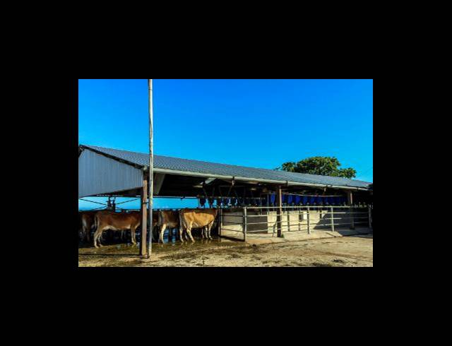 473HA FARM FOR SALE IN EAST LONDON RURAL